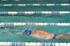 Swimming vs Babson  Wheaton College Swimming vs Babson College. - Photo By: KEITH NORDSTROM : Wheaton, Swimming, Babson